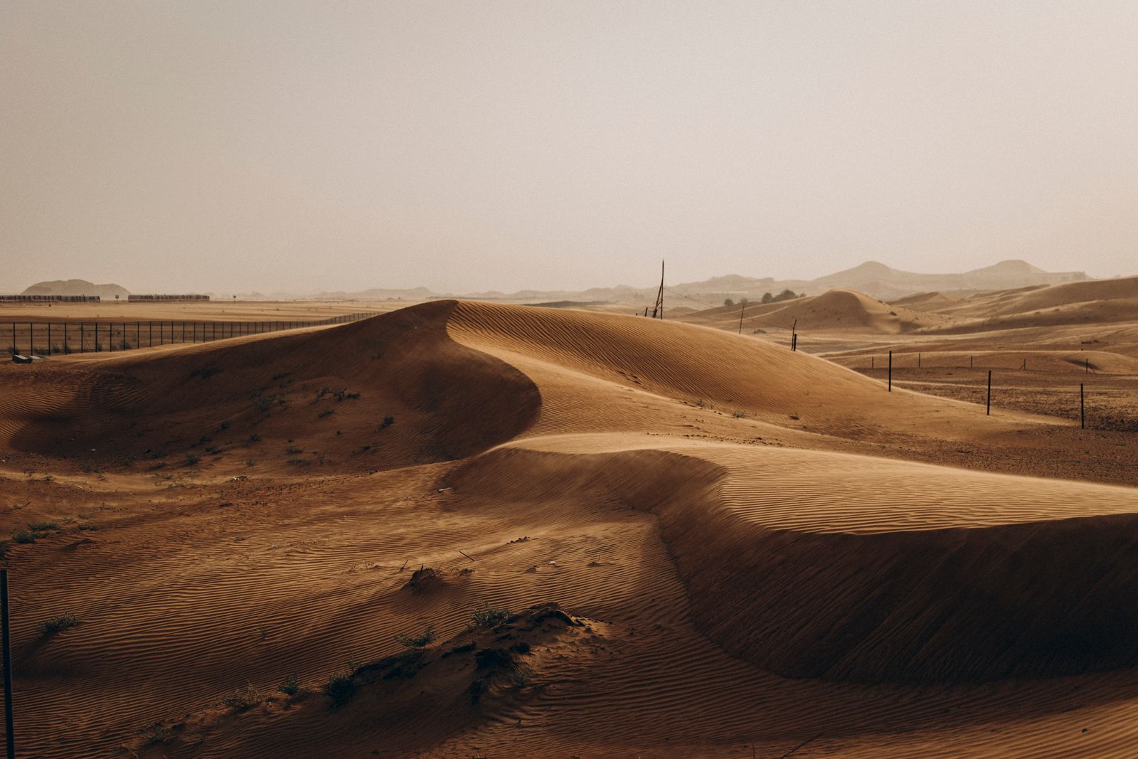 Golden sand dunes at sunset in Al Ain, UAE desert